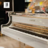 Plexibel P168G 203