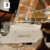 Plexibel P168G 206