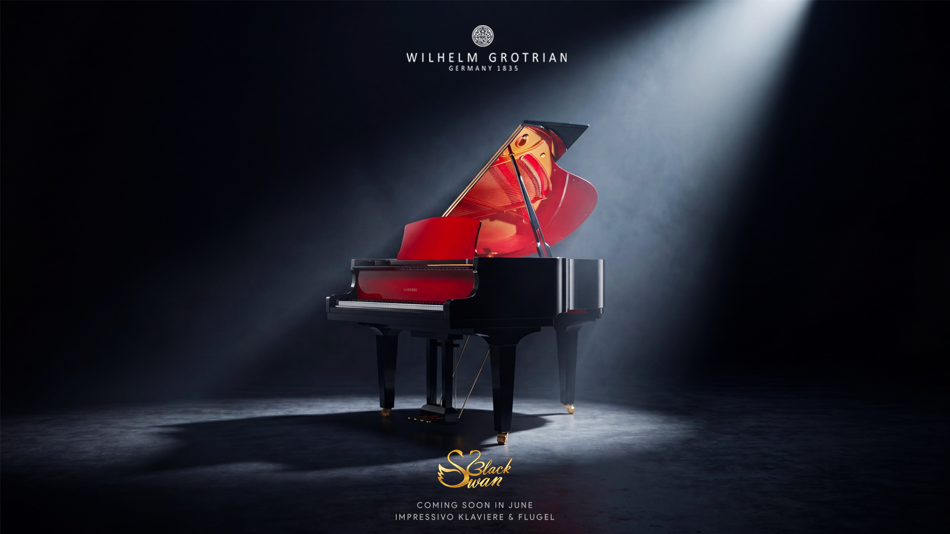 Grotrian WGS152 Black Swan