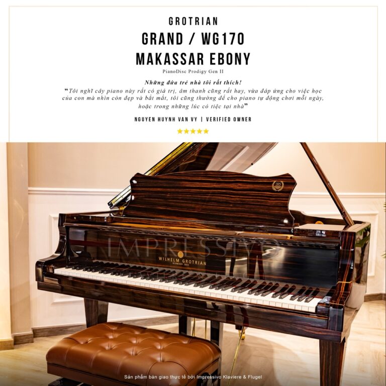 Wilhelm Grotrian WG170DM Makassar
