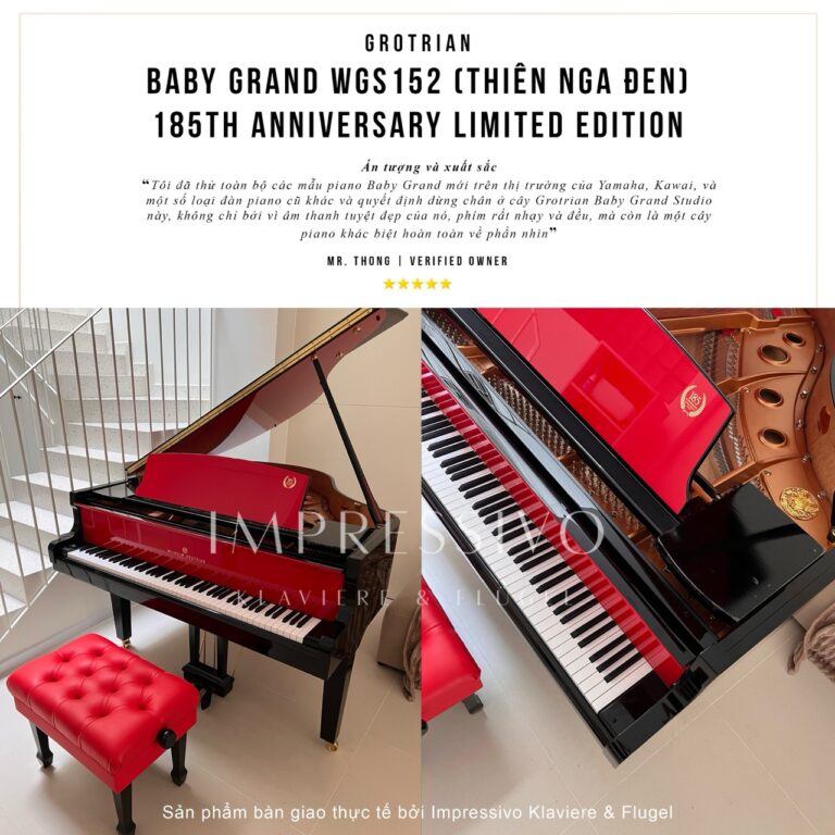 Wilhelm Grotrian WGS152BR Black Swan 3