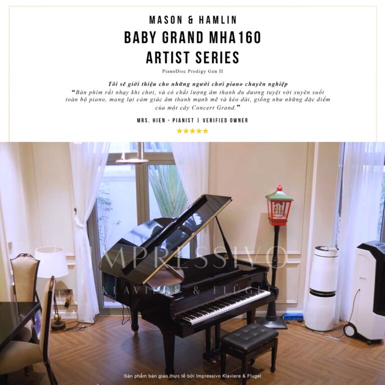 Mason & Hamlin MHA160 PianoDisc 3