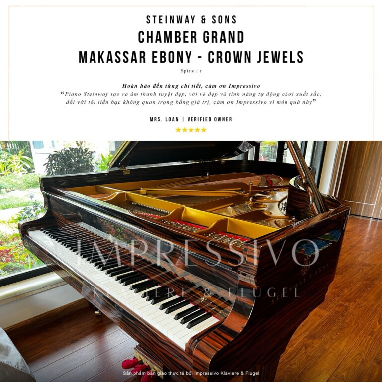 Steinway & Sons Spirio | R Model B211 Makassar Ebony 2