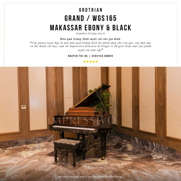 Wilhelm Grotrian WGS165AR MAKASSAR & BLACK