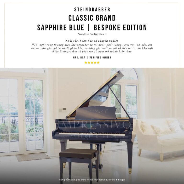 Steingraeber B192 Blue PianoDisc bespoke 2