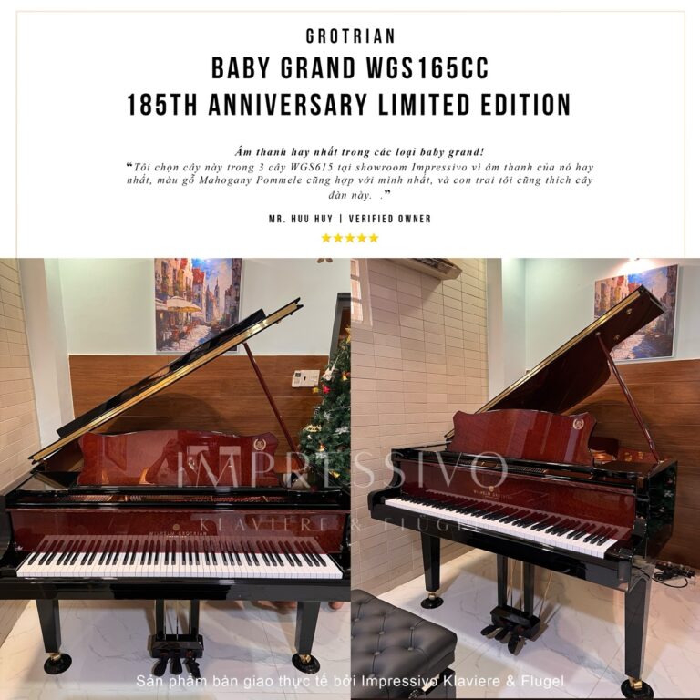 Wilhelm Grotrian WGS165CC Mahogany