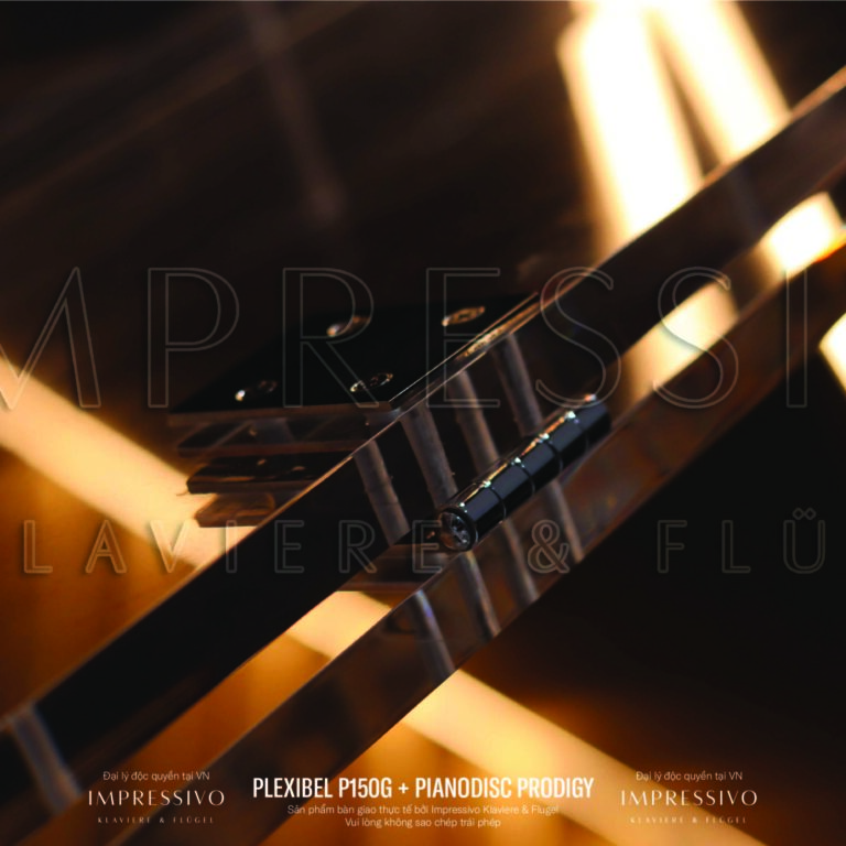 piano crystal Plexibel P150G 6