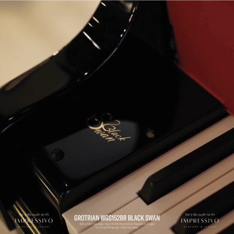 Wilhelm Grotrian WGS152BR Black Swan 4