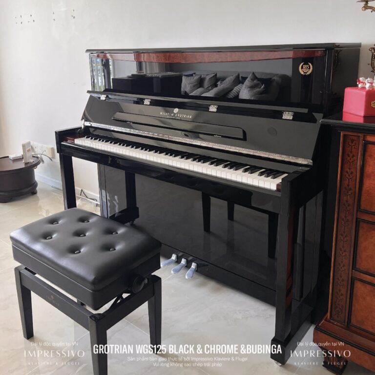 Wilhelm Grotrian WGS125 Siver 2