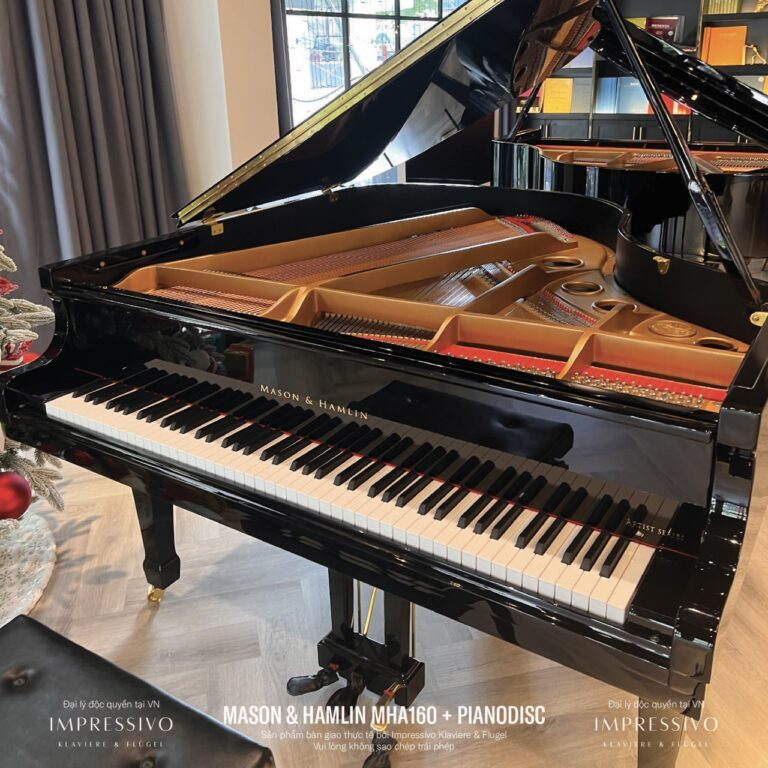 Mason & Hamlin MHA160 PianoDisc 9