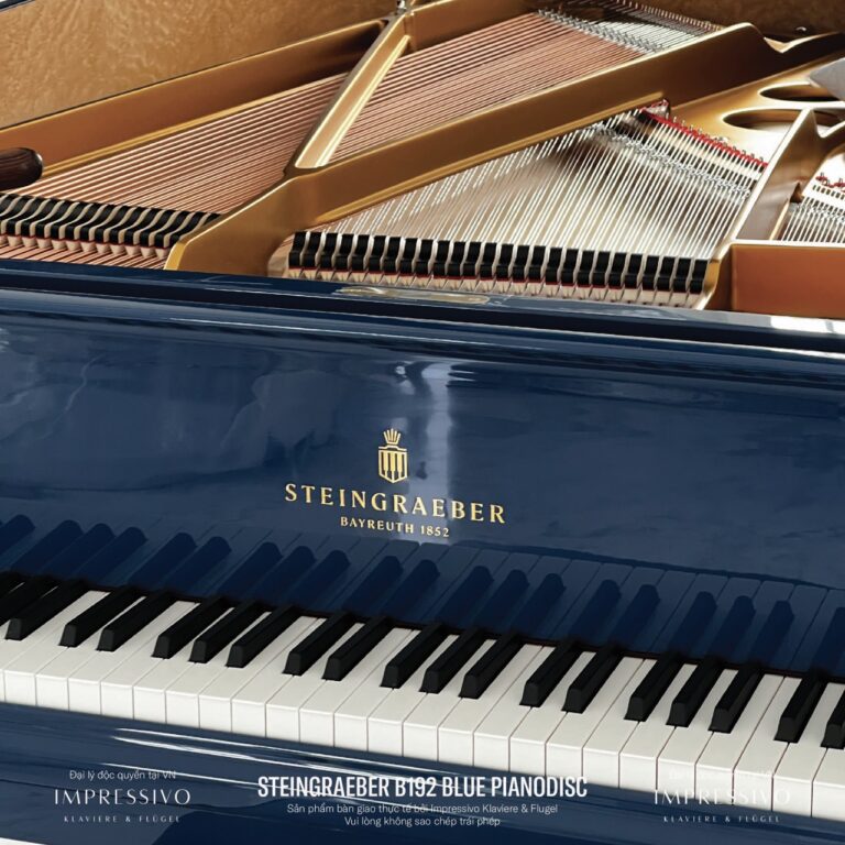 Steingraeber B192 Blue PianoDisc bespoke 1