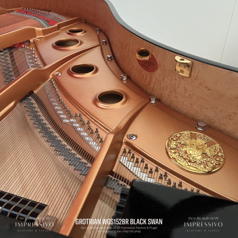 Wilhelm Grotrian WGS152BR Black Swan 5