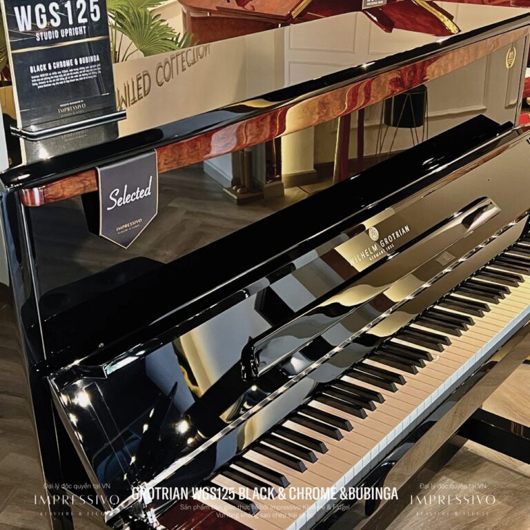 Wilhelm Grotrian WGS125 Siver 3