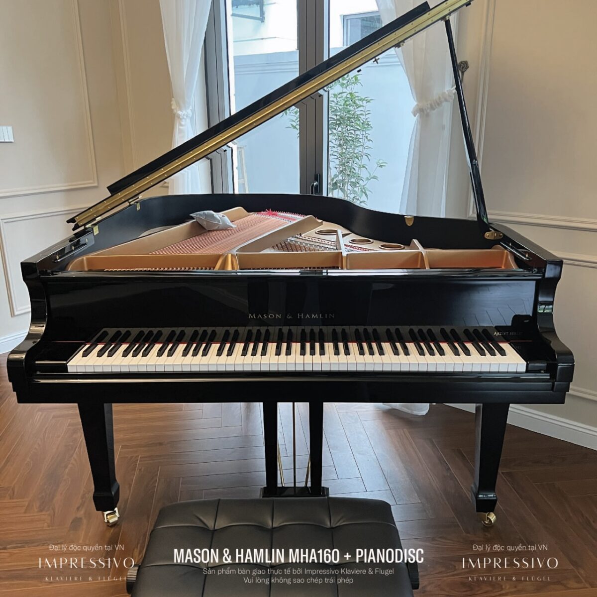 Mason & Hamlin MHA160 PianoDisc 2