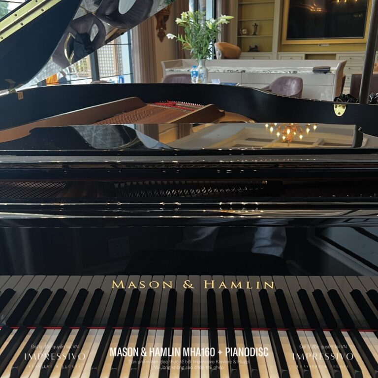 Mason & Hamlin MHA160 PianoDisc 10