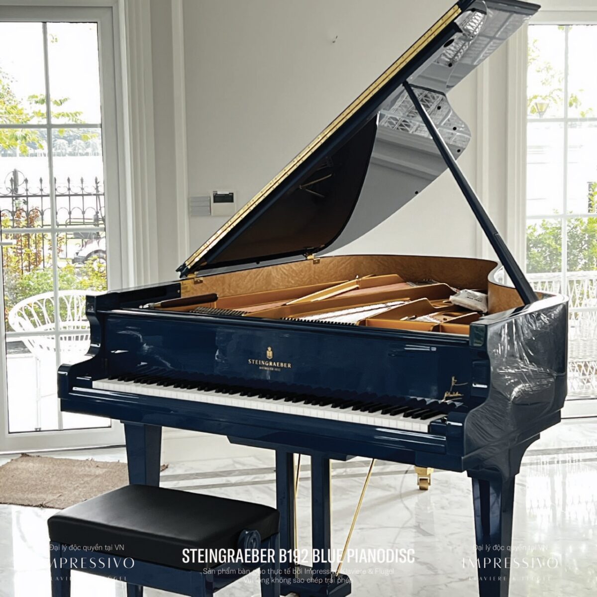 Steingraeber B192 Blue PianoDisc bespoke 3