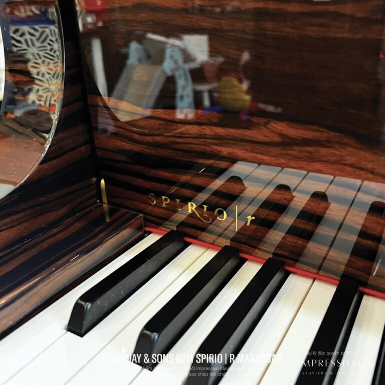 Steinway & Sons Spirio | R Model B211 Makassar Ebony 5