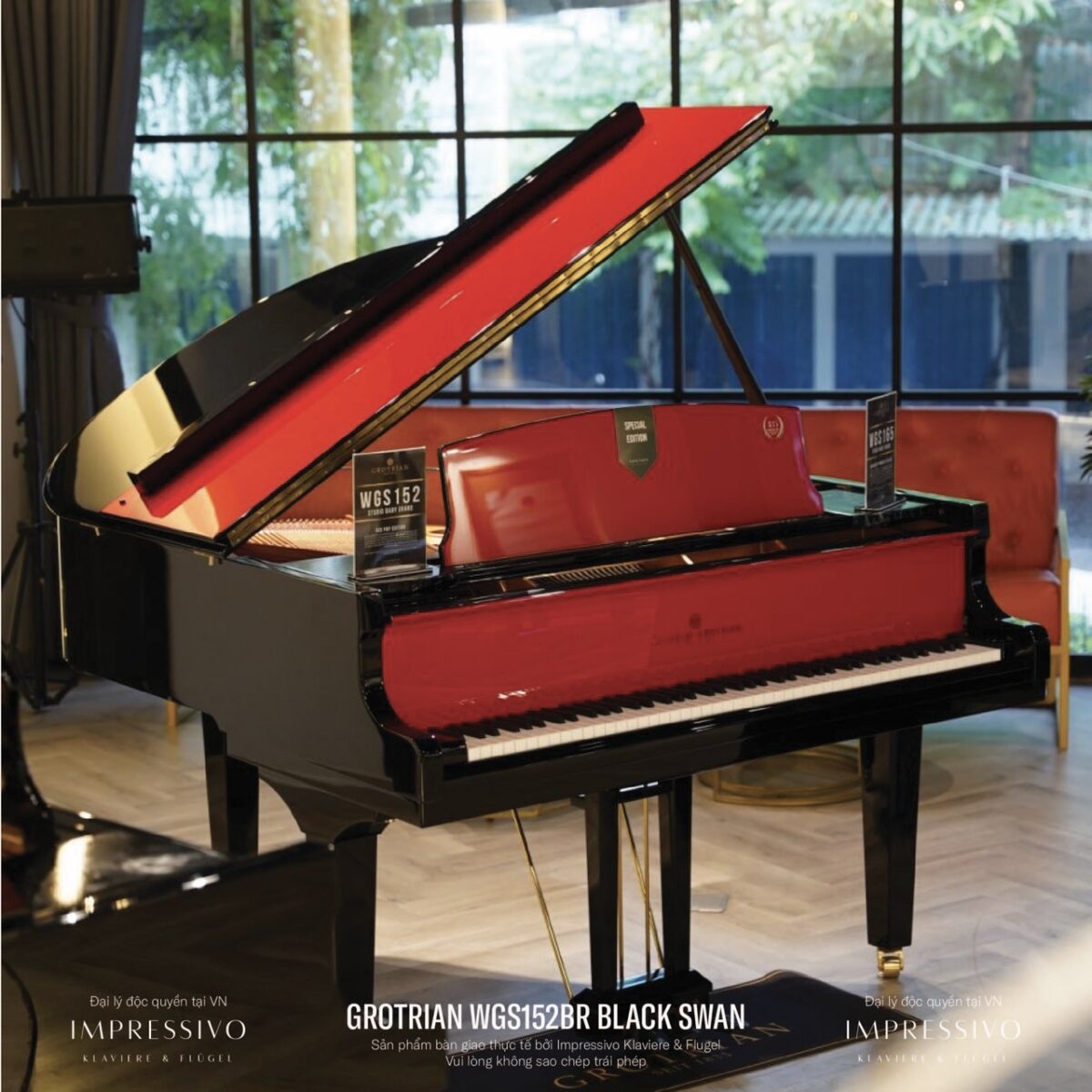 Wilhelm Grotrian WGS152BR Black Swan 1