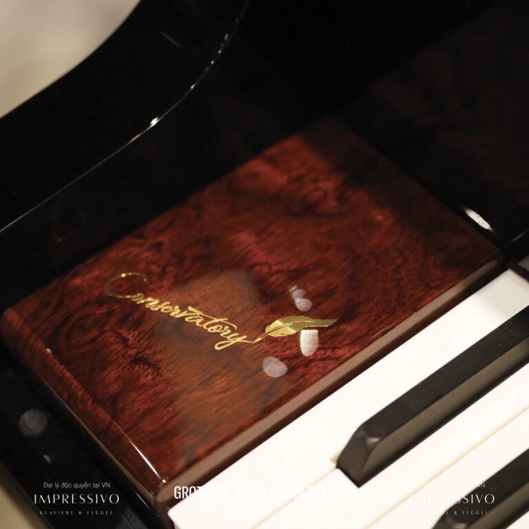 Wilhelm Grotrian WGCA upright 3
