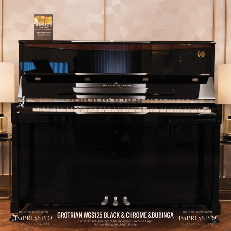 Wilhelm Grotrian WGS125 Siver 4