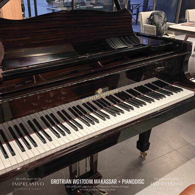 Wilhelm Grotrian WG170Dm 4
