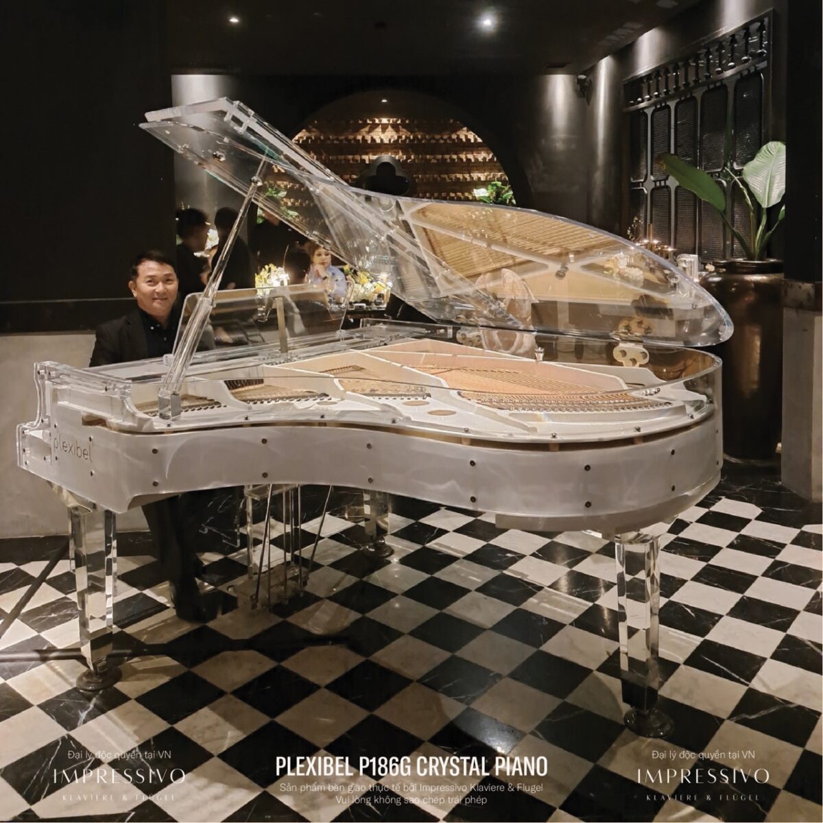 piano crystal plexibel P186g