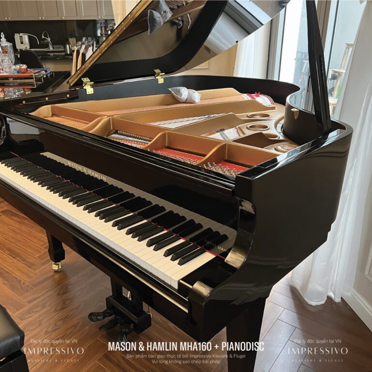 Mason & Hamlin MHA160 PianoDisc 4