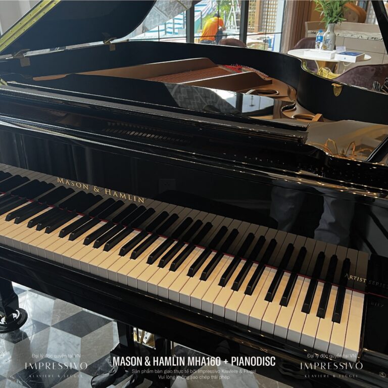 Mason & Hamlin MHA160 PianoDisc 11