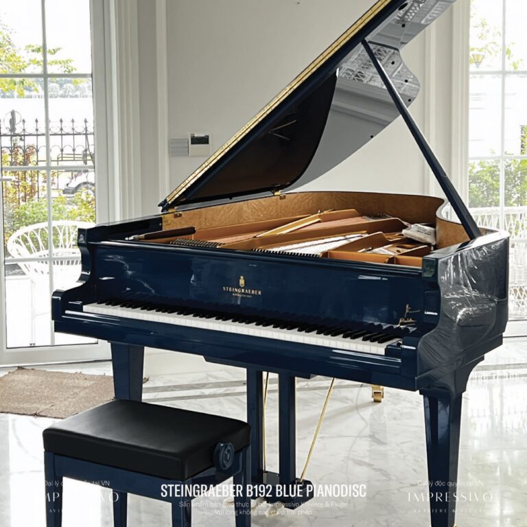 Steingraeber B192 Blue PianoDisc bespoke 4