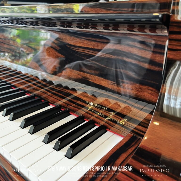 Steinway & Sons Spirio | R Model B211 Makassar Ebony 6