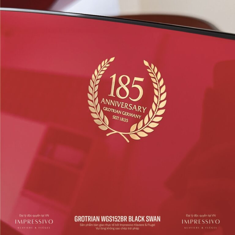 Wilhelm Grotrian WGS152BR Black Swan 6