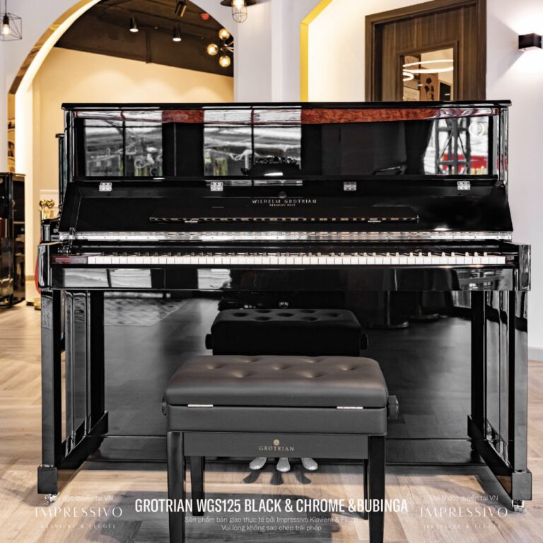 Wilhelm Grotrian WGS125 Siver 5