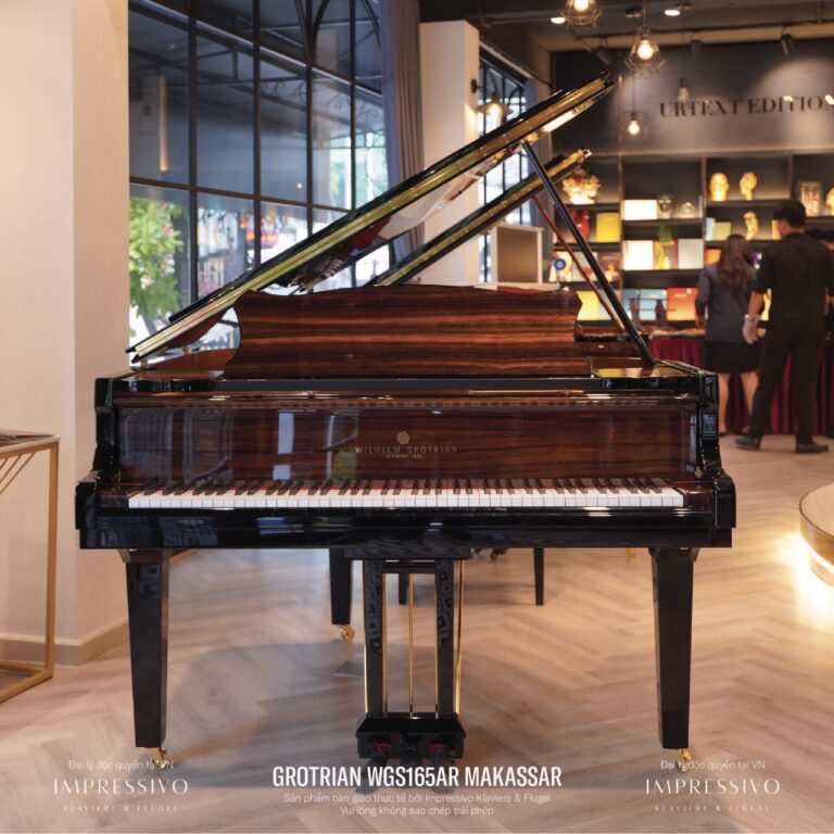 Wilhelm Grotrian WGS165AR MAKASSAR & BLACK 5