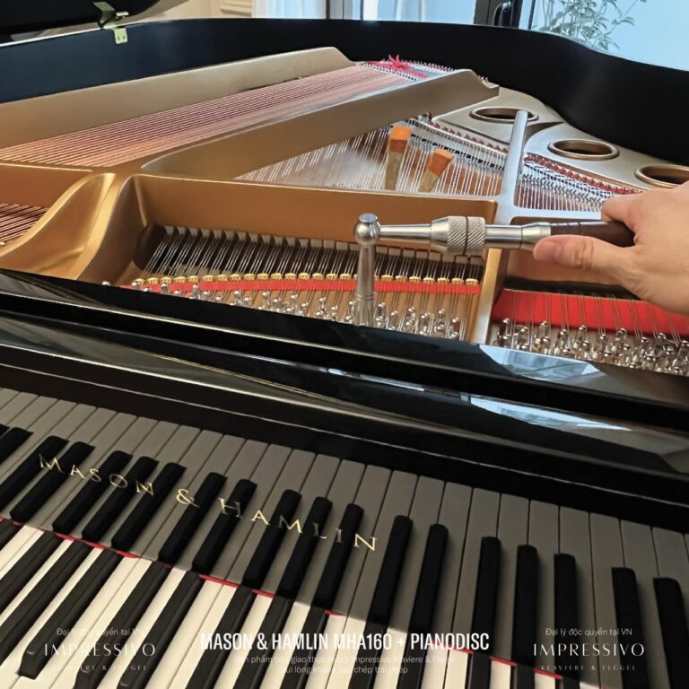 Mason & Hamlin MHA160 PianoDisc 5