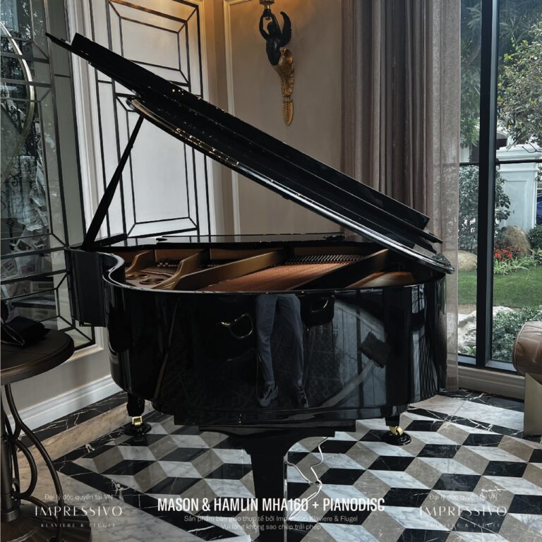 Mason & Hamlin MHA160 PianoDisc 12