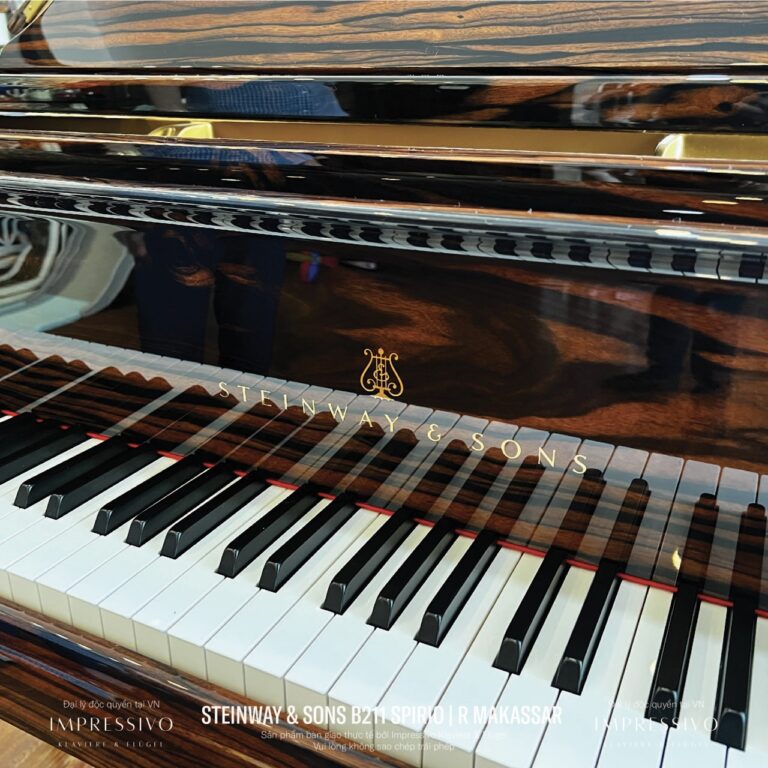 Steinway & Sons Spirio | R Model B211 Makassar Ebony 7