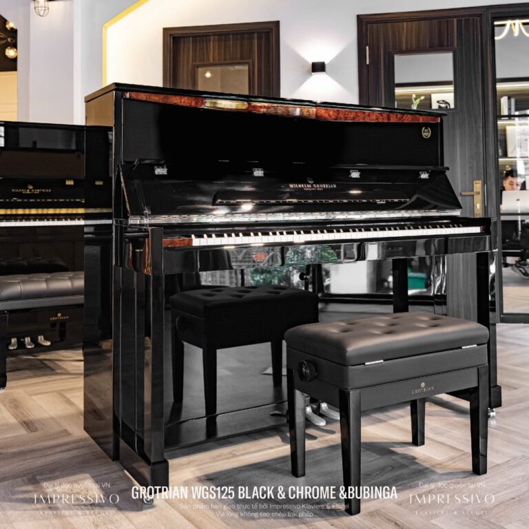 Wilhelm Grotrian WGS125 Siver 6