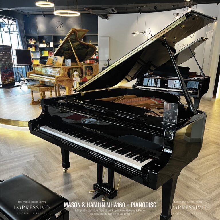 Mason & Hamlin MHA160 PianoDisc 6