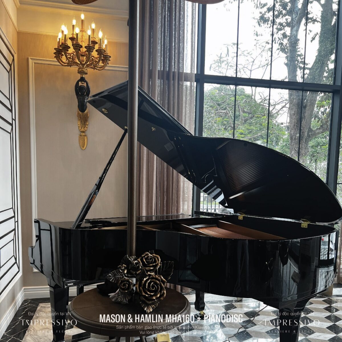 Mason & Hamlin MHA160 PianoDisc 8