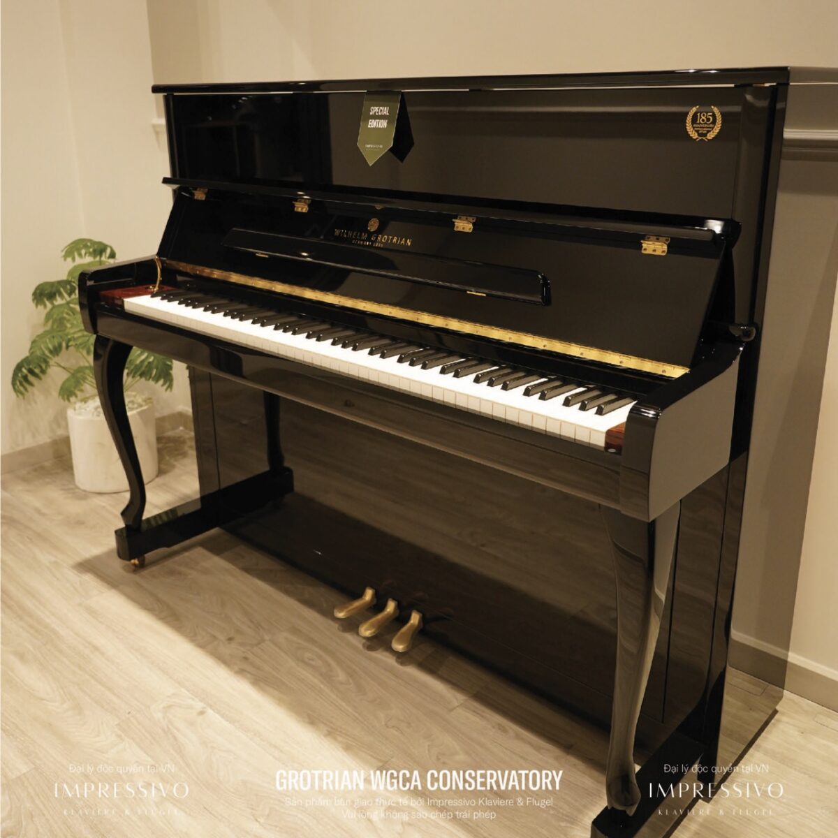 Wilhelm Grotrian WGCA upright 5