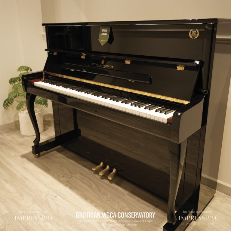 Wilhelm Grotrian WGCA upright 5