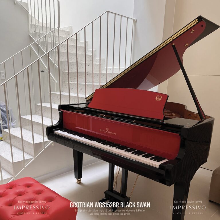 Wilhelm Grotrian WGS152BR Black Swan 8