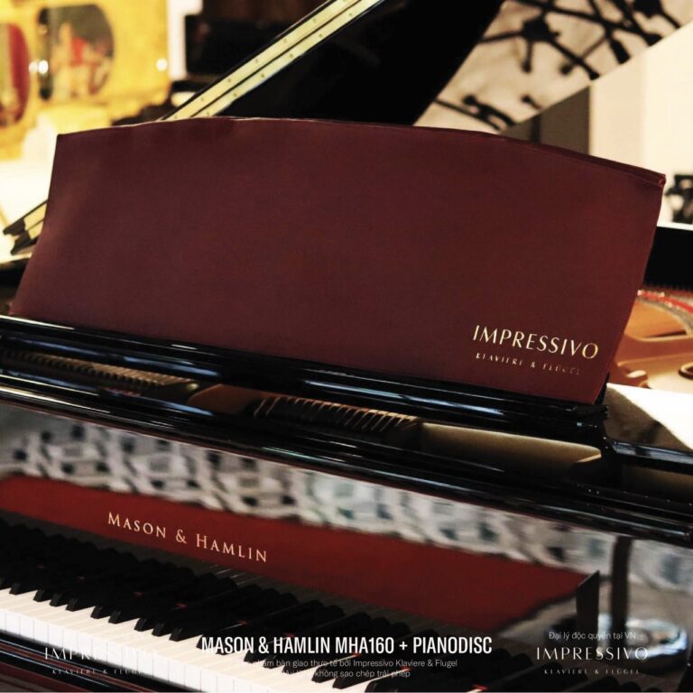 Mason & Hamlin MHA160 PianoDisc 7