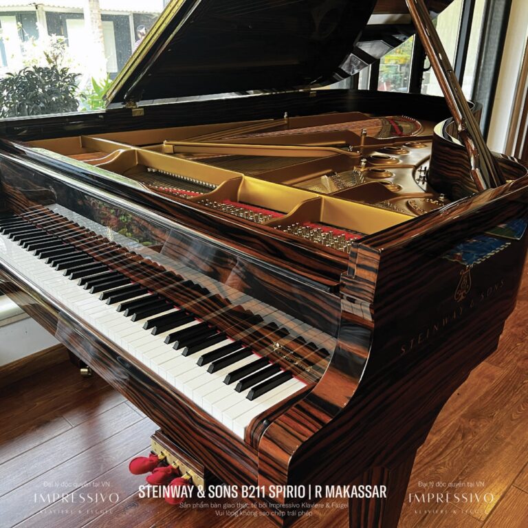 Steinway & Sons Spirio | R Model B211 Makassar Ebony