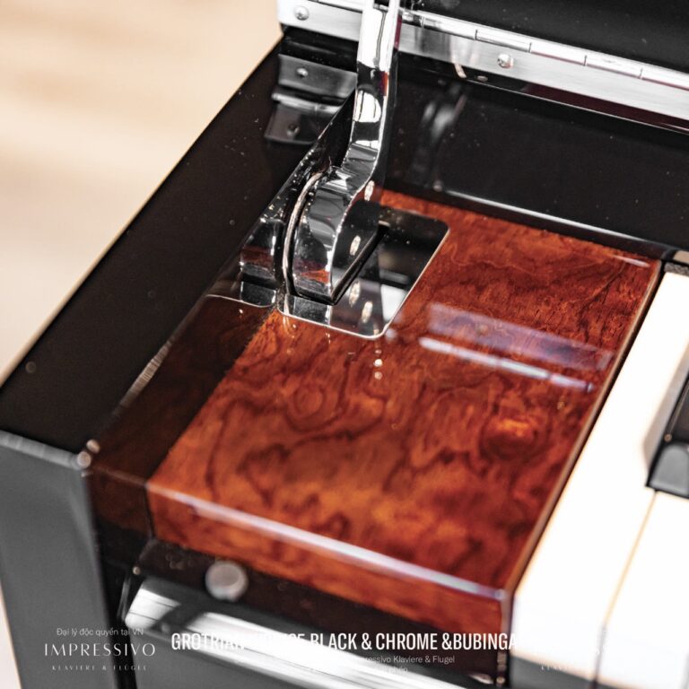 Wilhelm Grotrian WGS125 Siver 7