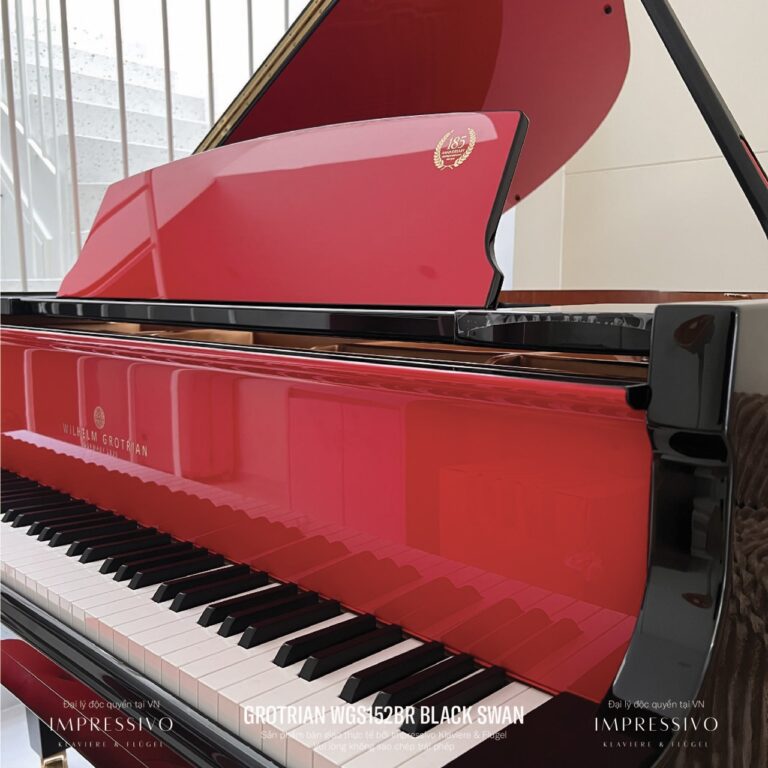 Wilhelm Grotrian WGS152BR Black Swan 9