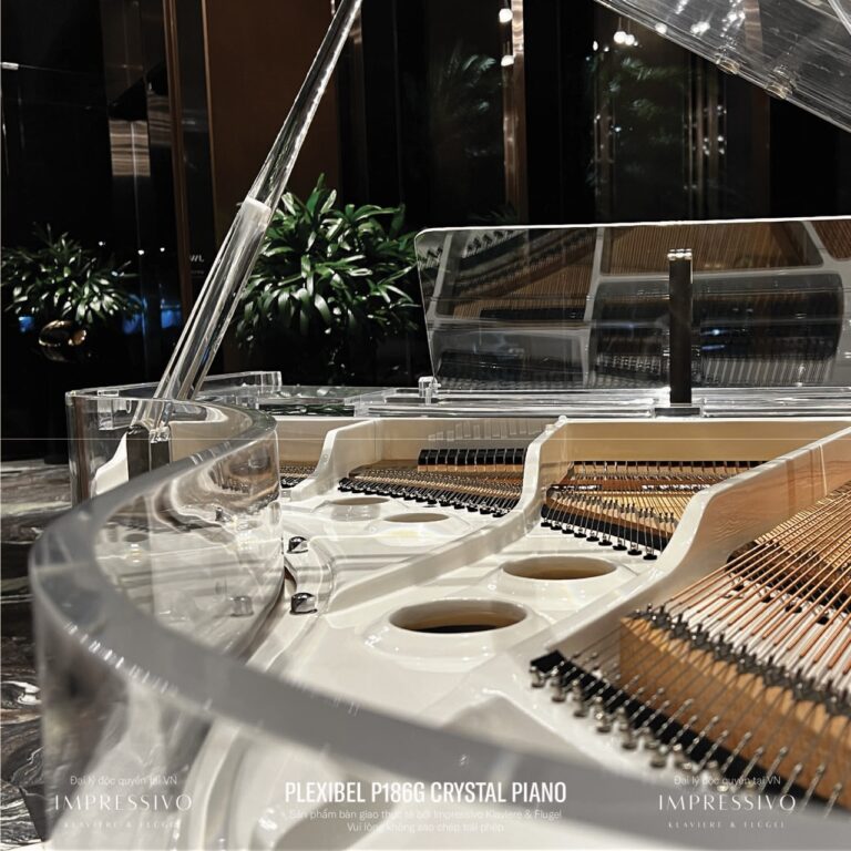 piano crystal plexibel P186g 4