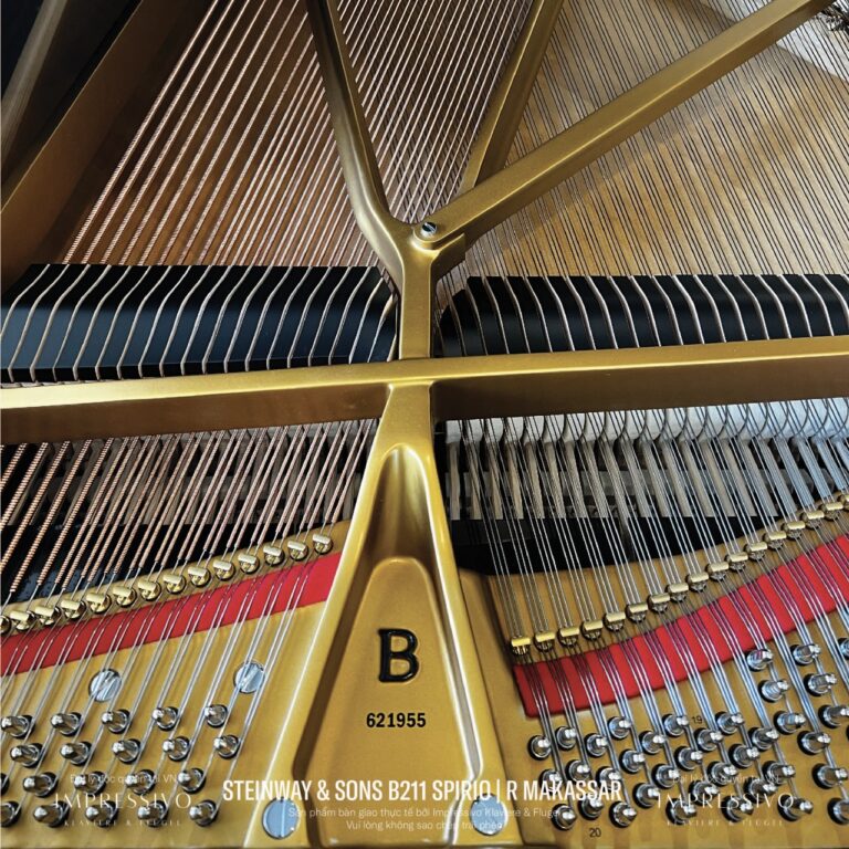 Steinway & Sons Spirio | R Model B211 Makassar Ebony 9