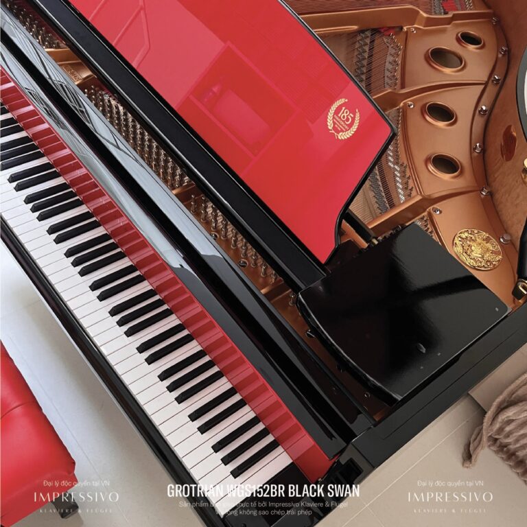 Wilhelm Grotrian WGS152BR Black Swan 10