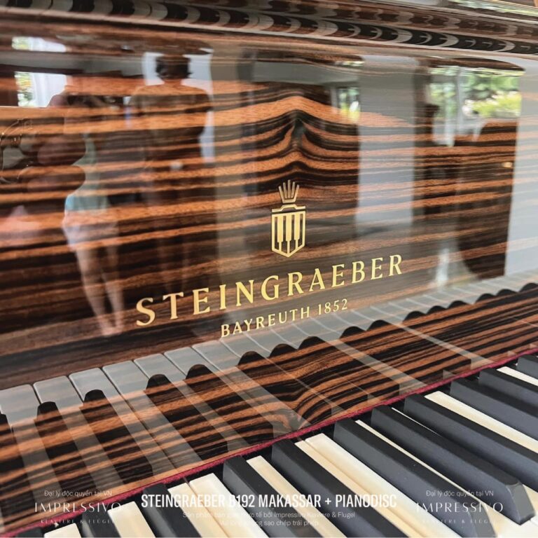 Steingraeber B192 Makassar 9